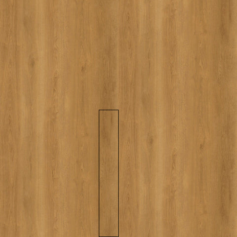 Série Tempo 19,2x123,5